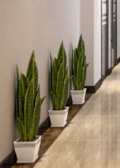 口腔诊所装修设计