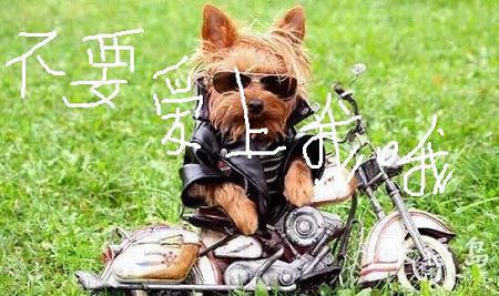 口腔诊所前台设计